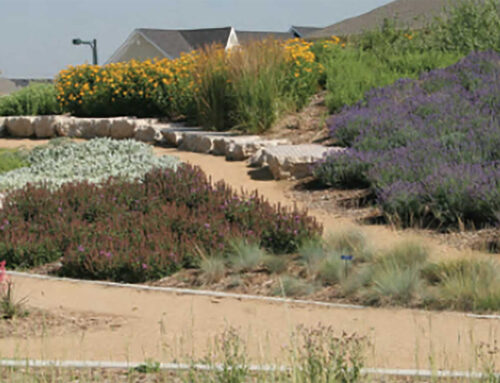 Give your feedback on climate-resilient landscapes